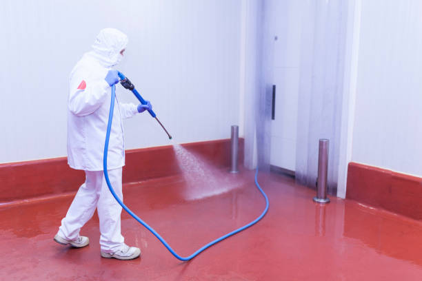 Best Building Exterior Washing  in Media, PA